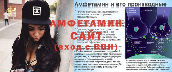 гидра Няндома