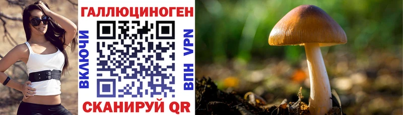 Псилоцибиновые грибы ЛСД купить наркоту Саяногорск